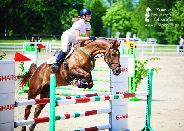 Wpis onlyhorse94