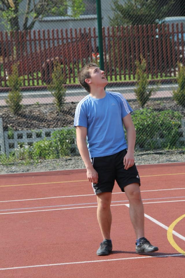 Wpis zelkowymis