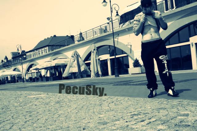 PecuSky - come back!