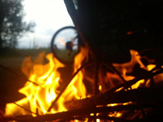46.