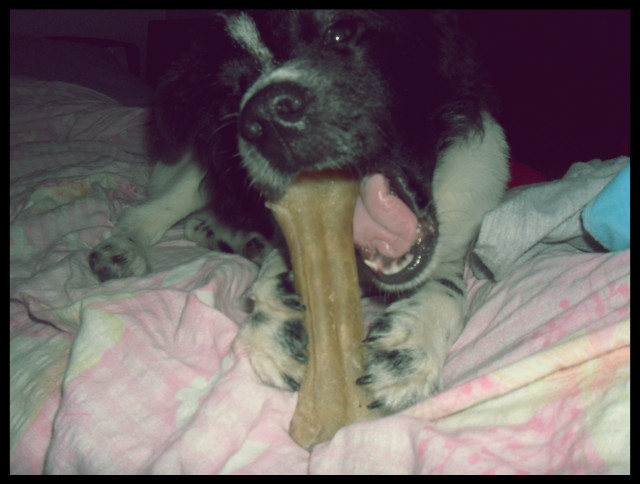 Wpis durexplayy