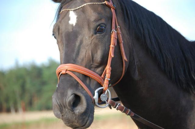 Kaskader 