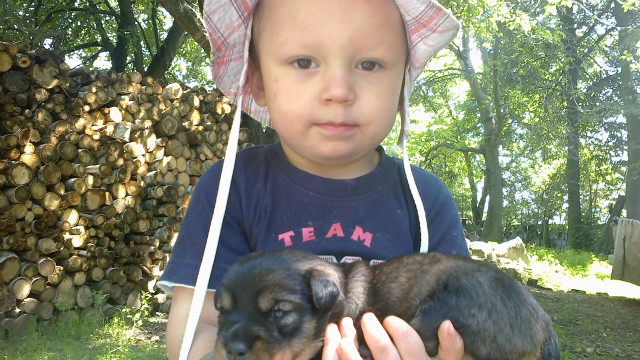 Julian
