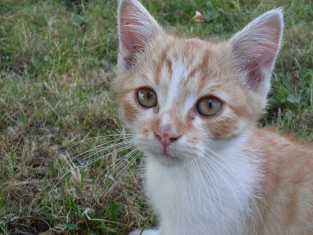 Rudy