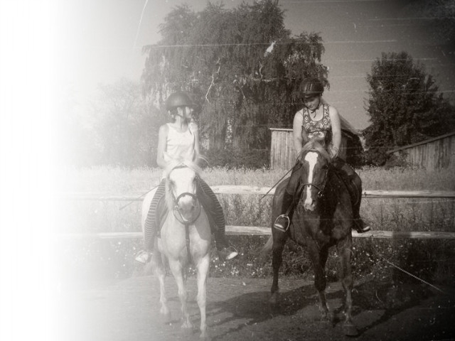 Wpis brysiahorse