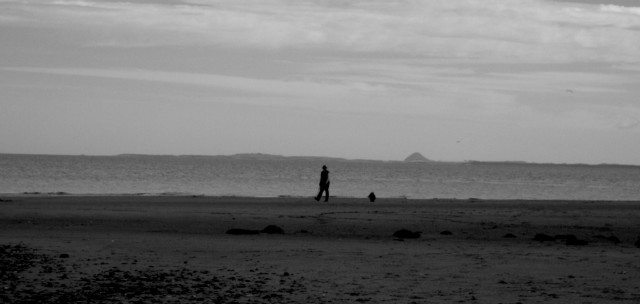 Portobello 