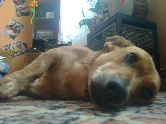 Mj kochany sodziaczek :* 