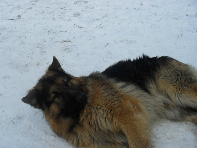 I znowu Bruno haha!!!