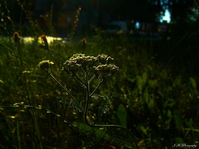 235.