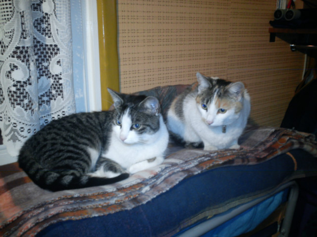 Ciaput i Kotique ;)