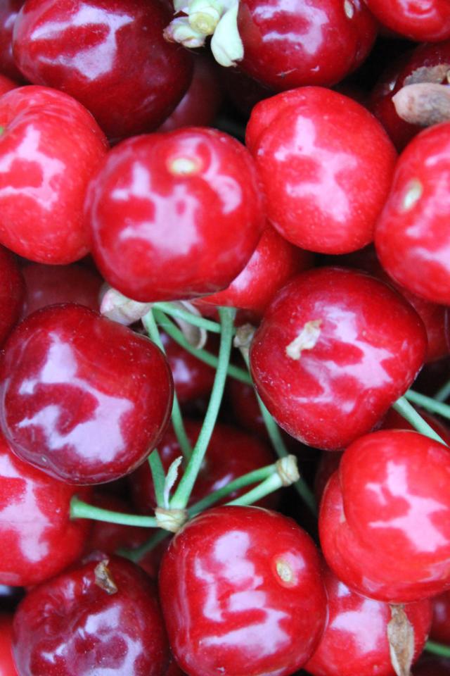 Wpis roseharmony