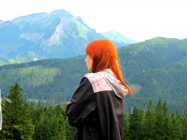 Wpis zleskonstruowana