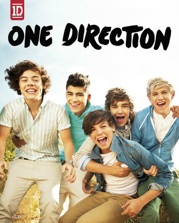 Wpis onedirection567