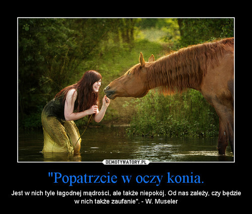 Wpis natiiiiiii