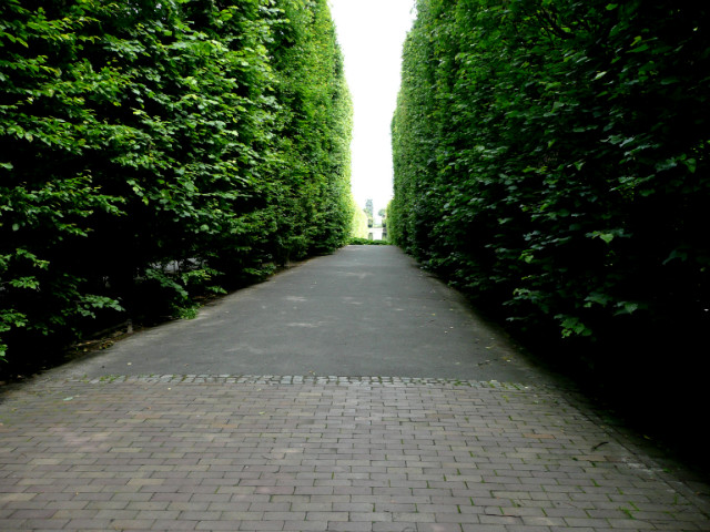Park Oliwski