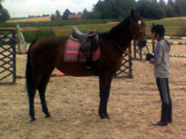 Wpis kari231999