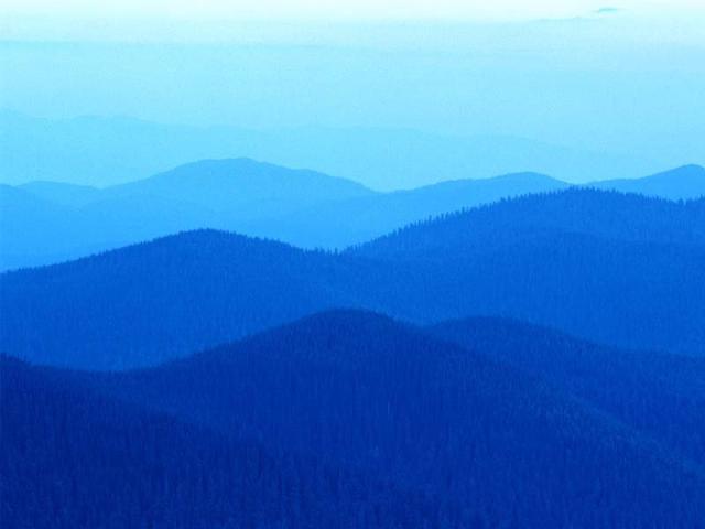 gorki i pagurki