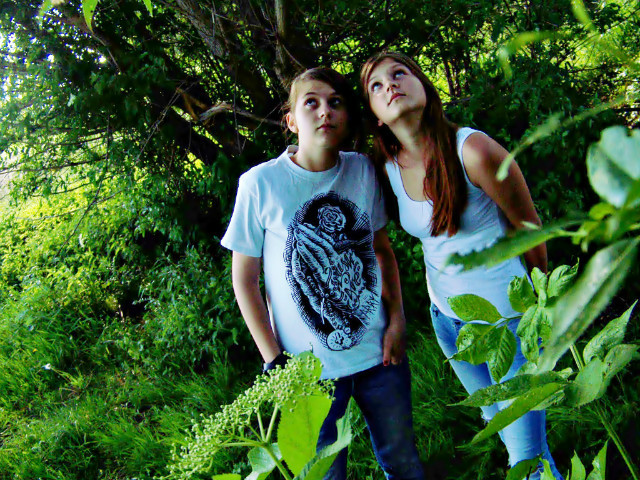 Wpis nawiecznoscxqp