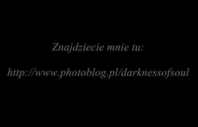nowy fotoblog :)