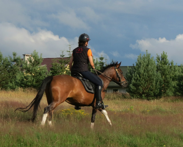 Galopik :)