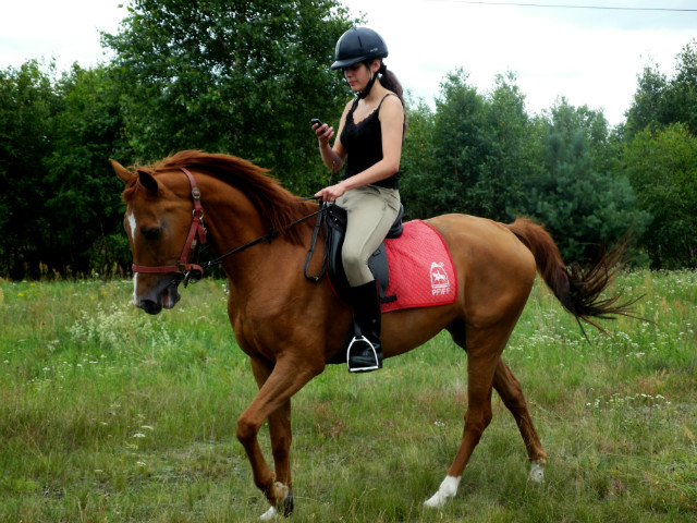 Wpis myhorselife