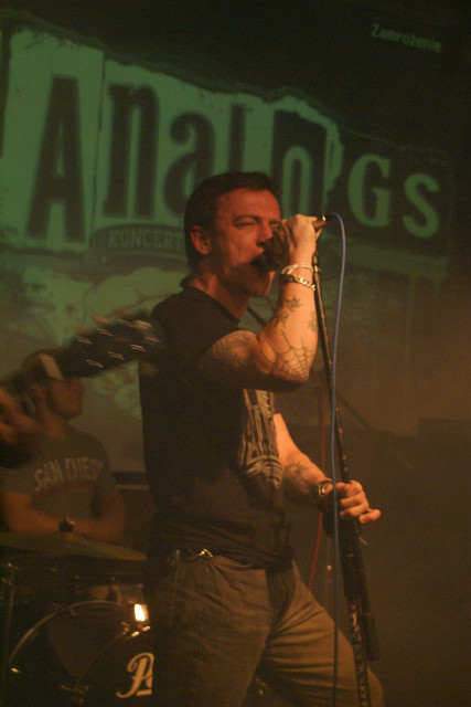The Analogs 