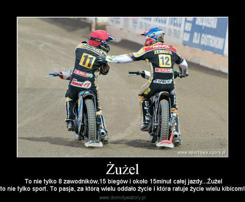 Wpis krzystrzelul