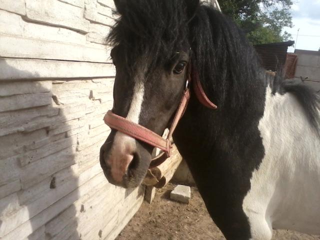 Karloo.! :D