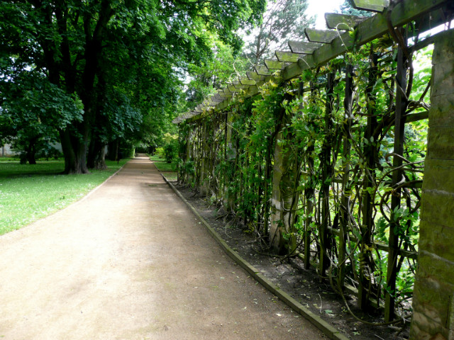 Park Oliwski