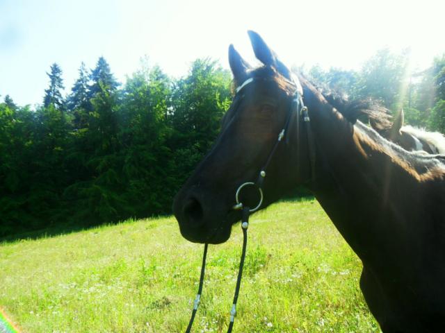 Cas ;*