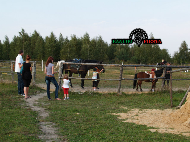 Rekraejszyn
