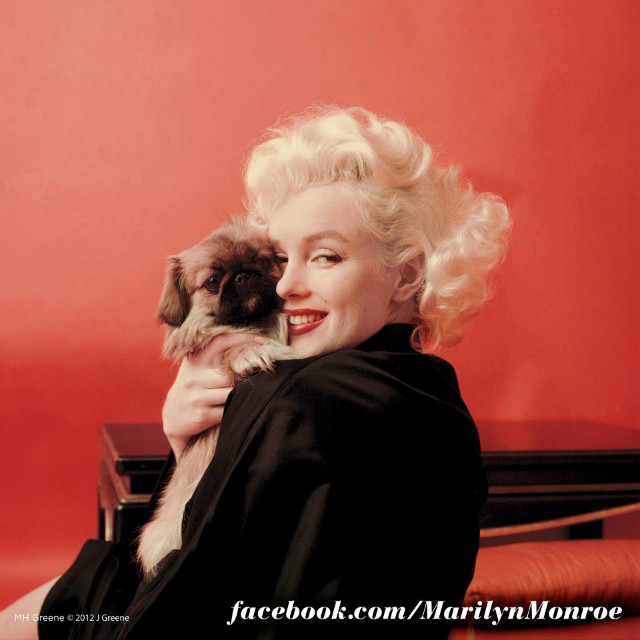 Wpis lovemarilyn