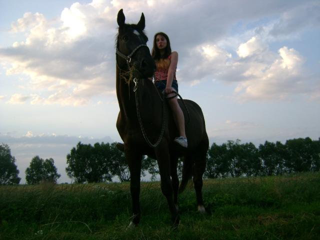 Pitkowe Loove 