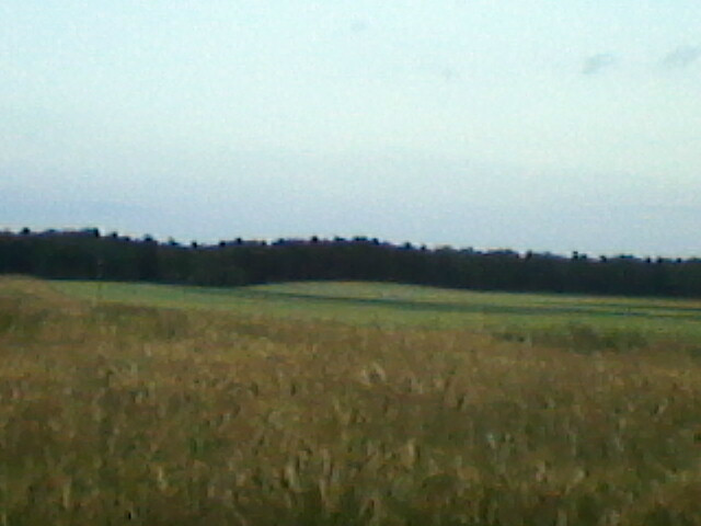 Zdechlak