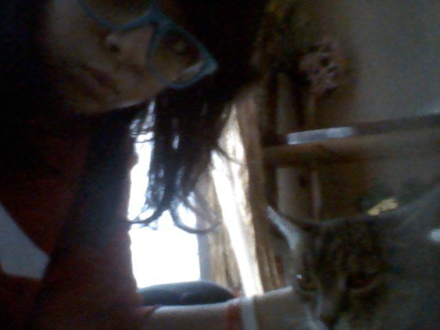 kicia xd