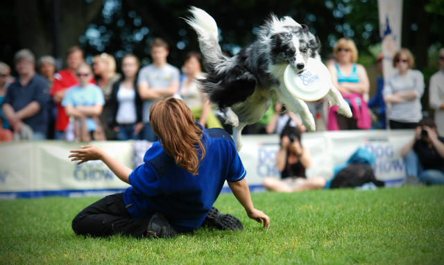 DCDC Sopot 2012