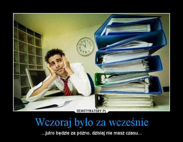 studia.