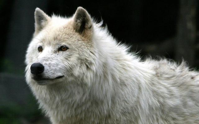 Wpis pojedynkiznanychosob