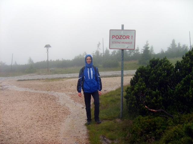 Wpis morpheo