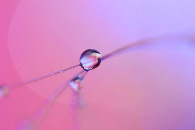 drop
