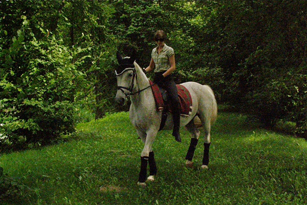 Saga, fot. Danka 