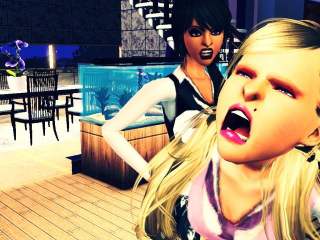 Sims #11