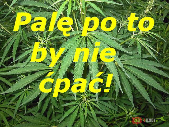 Wpis peaceloverootsreggae