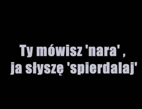 zdj .