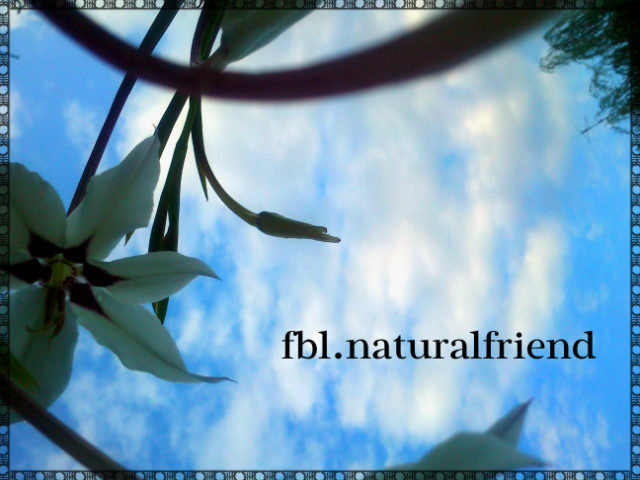 02, ;* Natural 
