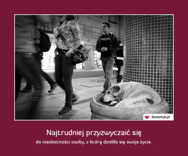 Wpis milosiciczekazarogiem
