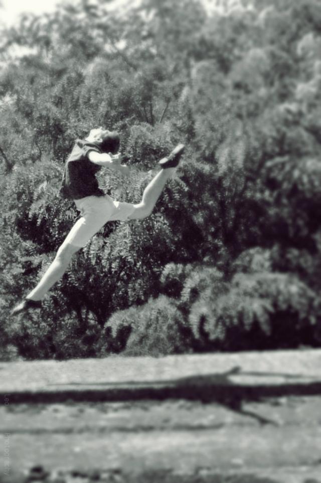 Firebird [?]...