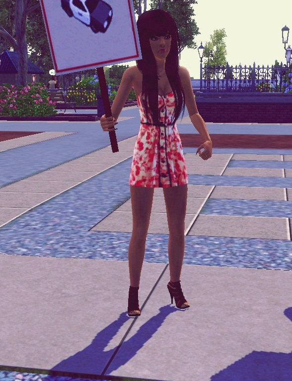 Sims # 14