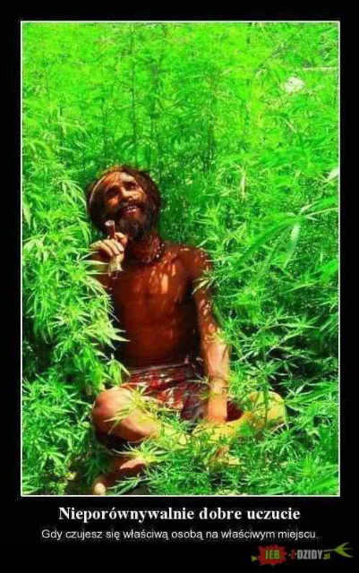 Wpis peaceloverootsreggae
