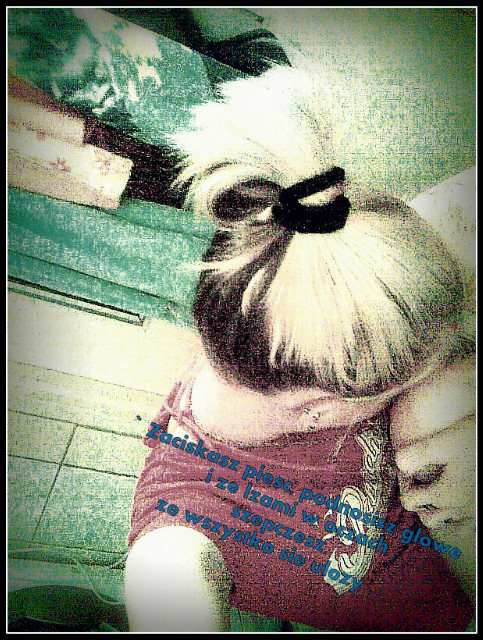 nie ma Ci . !